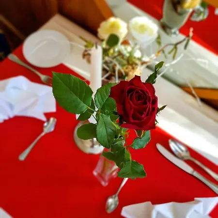 فندق Parkhotel ميرانه